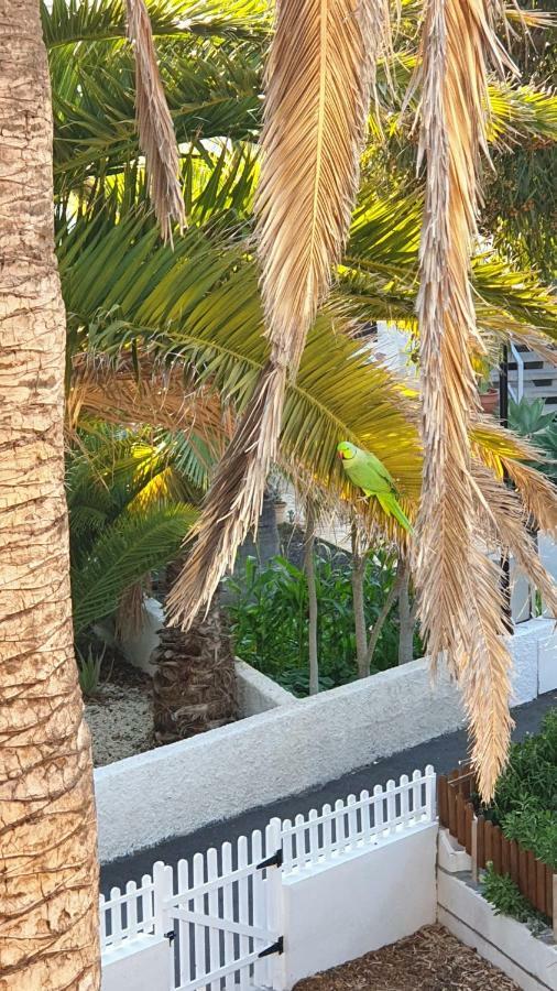 Studio With Garden أرونا المظهر الخارجي الصورة
